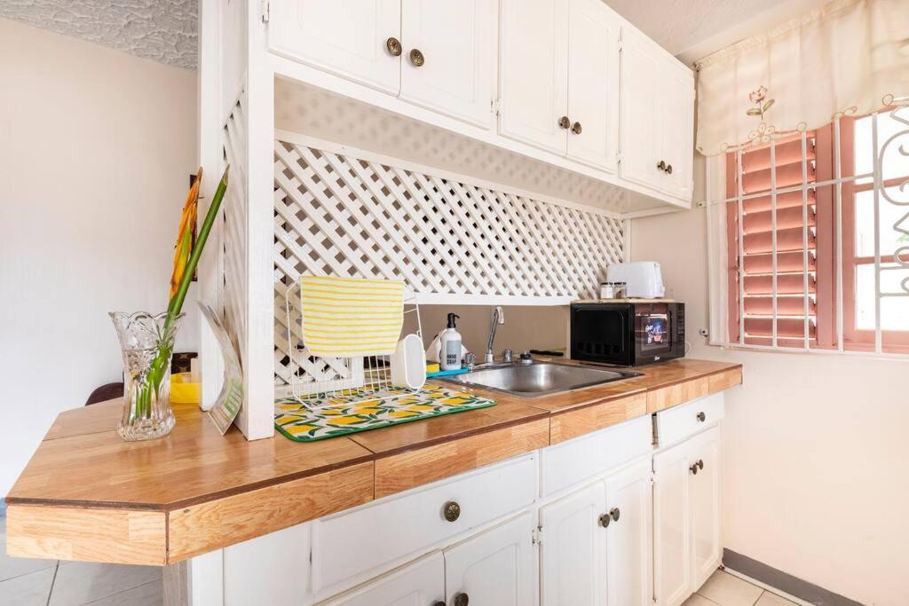 Shaw Park Gem Apt 12A Ocho Rios Exteriér fotografie