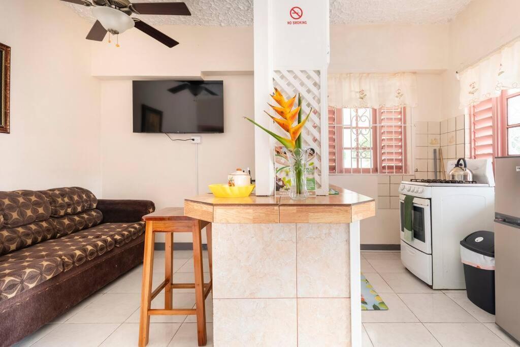 Shaw Park Gem Apt 12A Ocho Rios Exteriér fotografie