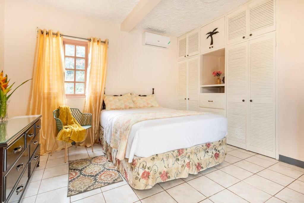 Shaw Park Gem Apt 12A Ocho Rios Exteriér fotografie